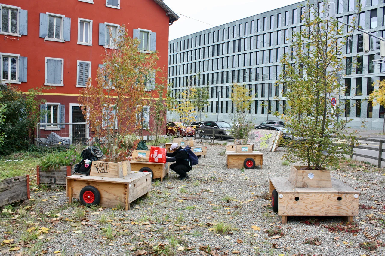 Wanderbaumallee: von der Werdstrasse an die Schimmelstrasse