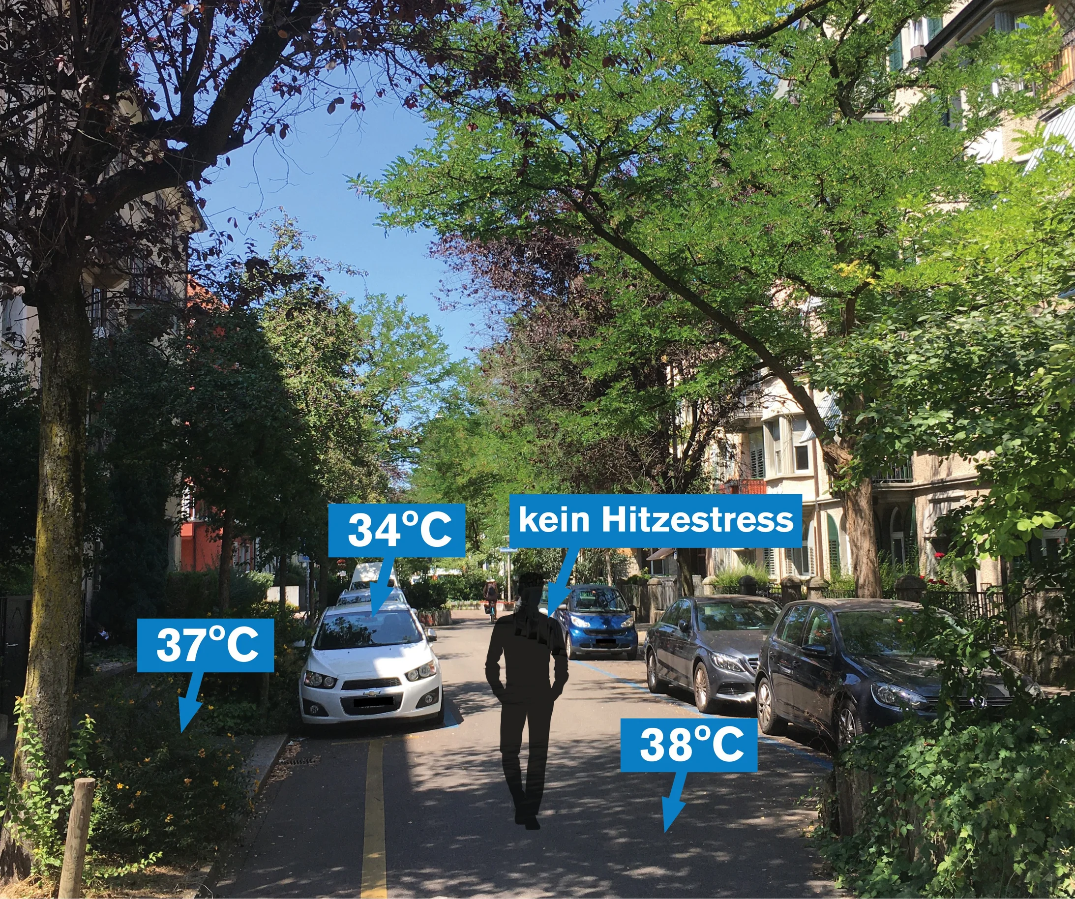 Rotachstrasse Oberflächentemperatur